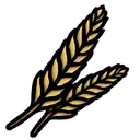 Wheat